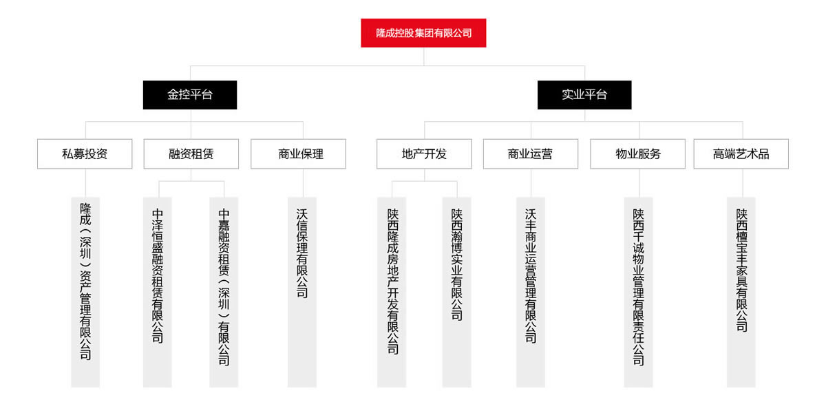 匯高OA系統(tǒng)陜西區(qū)為隆成控股集團公司進行管理升級！